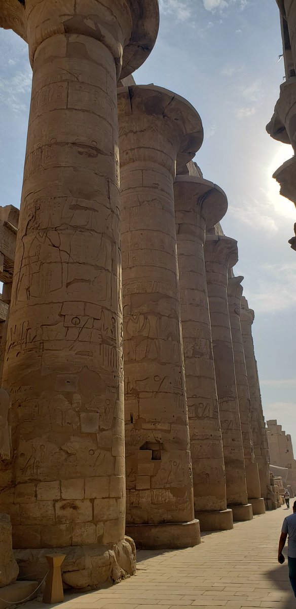 aroweTHD's tweet photo. Flew to southern Egypt to visit some of the Upper Egypt temples. The temples were built to honor the gods of ancient Egypt and were full of hieroglyphics, statues, pillars and beautiful original colors. #philae #edfu #komombo #luxor #karnak https://t.co/DhCWigDweQ