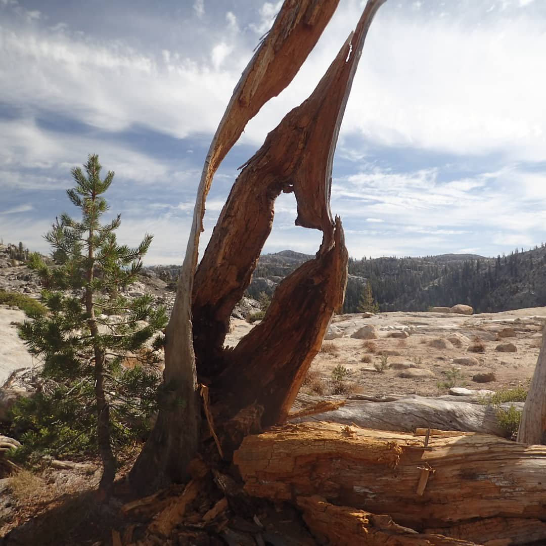 Perfect weekend in the Sierra's!

<a href="/BackpackerMag/">Backpacker Magazine</a>