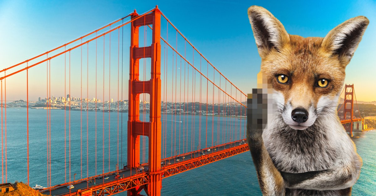 FoAorg's tweet photo. Cheers to #CA Gov. @GavinNewsom who signed legislation this weekend outlawing the sale and manufacture of new #fur clothing and accessories, becoming the first state in the nation to institute a ban. #NYC, what are you waiting for?
#FlipOffFur https://t.co/qW8Yw8BJZh https://t.co/XA4rSixnVZ