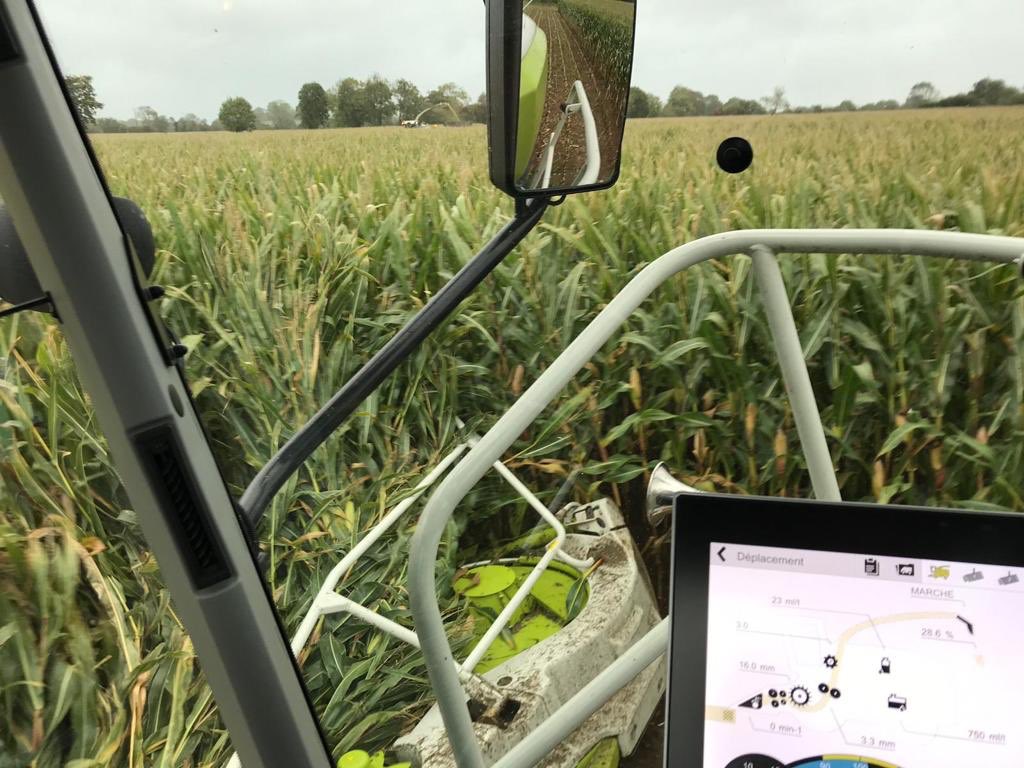 CLAASFrance's tweet photo. Après avoir été introduite pr la 1ère fois en France, la JAGUAR 990 continue sa tournée de démo !
En voici qql clichés en pleine action !
Accrochez vos ceintures à bord de l’#ensileuse la plus puissante de la gamme #JAGUAR, du haut de ses 925 ch 
#CLAASPower #harvestingthefuture https://t.co/Z4NLAh00Gl