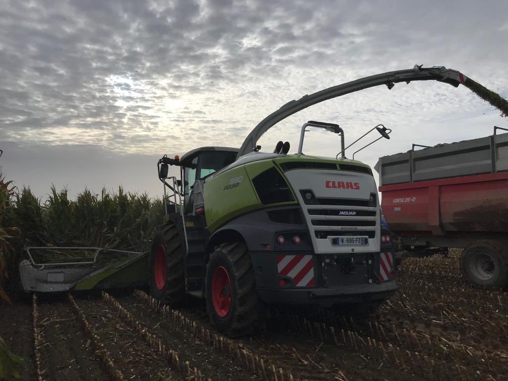 CLAASFrance's tweet photo. Après avoir été introduite pr la 1ère fois en France, la JAGUAR 990 continue sa tournée de démo !
En voici qql clichés en pleine action !
Accrochez vos ceintures à bord de l’#ensileuse la plus puissante de la gamme #JAGUAR, du haut de ses 925 ch 
#CLAASPower #harvestingthefuture https://t.co/Z4NLAh00Gl