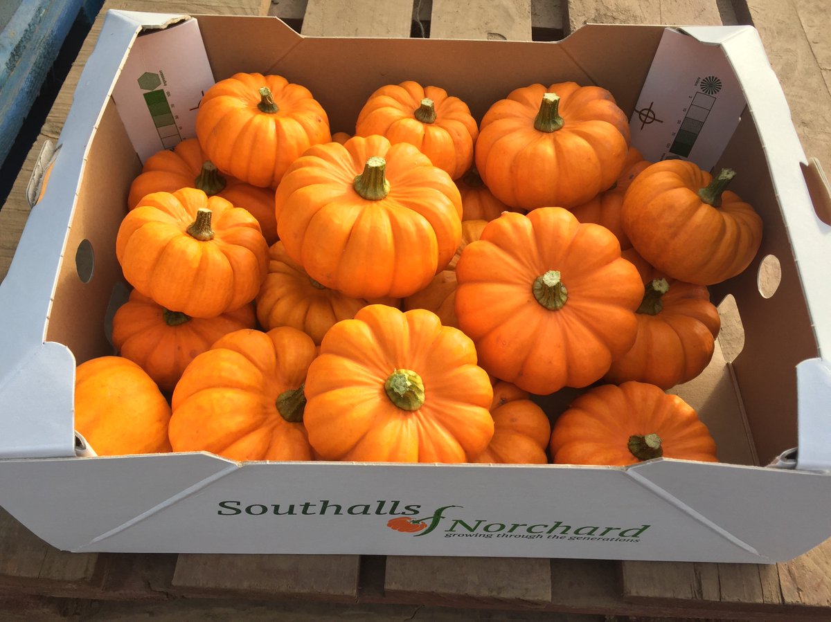 FruitWhispers's tweet photo. #Munchkin #Pumpkins - available in store from Friday 18th October @SPARDSAP ππ#BarrowBoy https://t.co/qg62KfvjEe