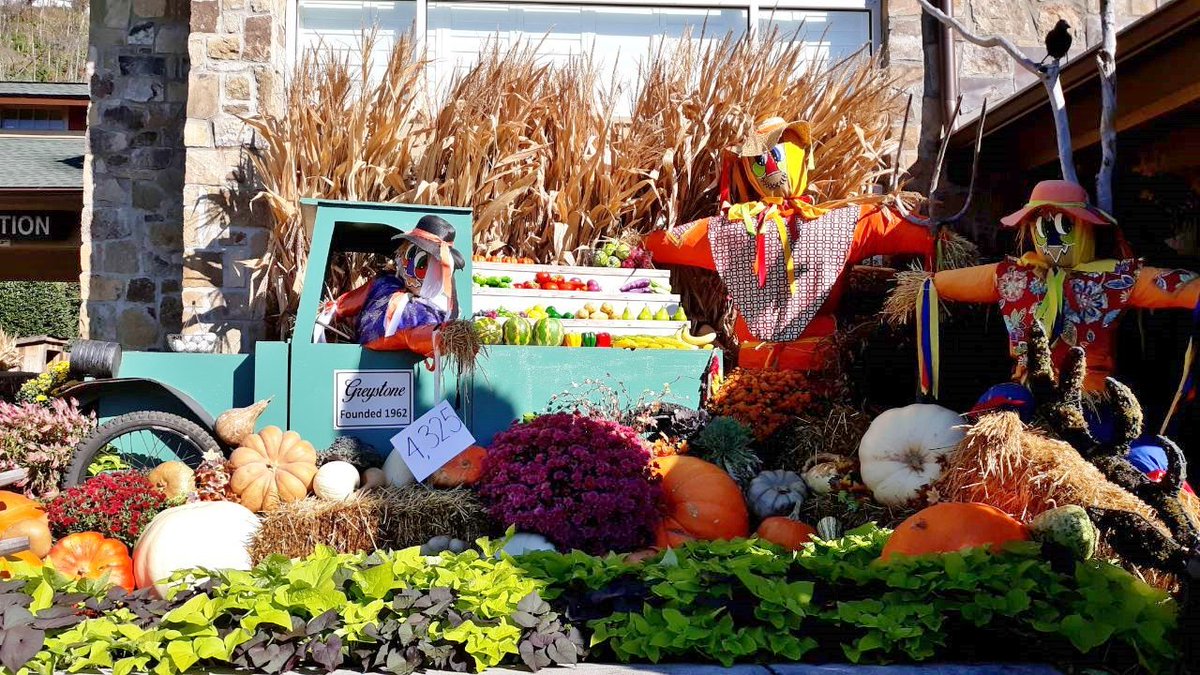 GreystoneTN's tweet photo. The counting of the scarecrows in #Gatlinburg ended right here at the #GreystoneLodge! The final count: 4,325! #Scarecrows #GuinessWorldRecord #TheMountainsAreCalling #FallInTheSmokies https://t.co/TYKaJ1VmLV