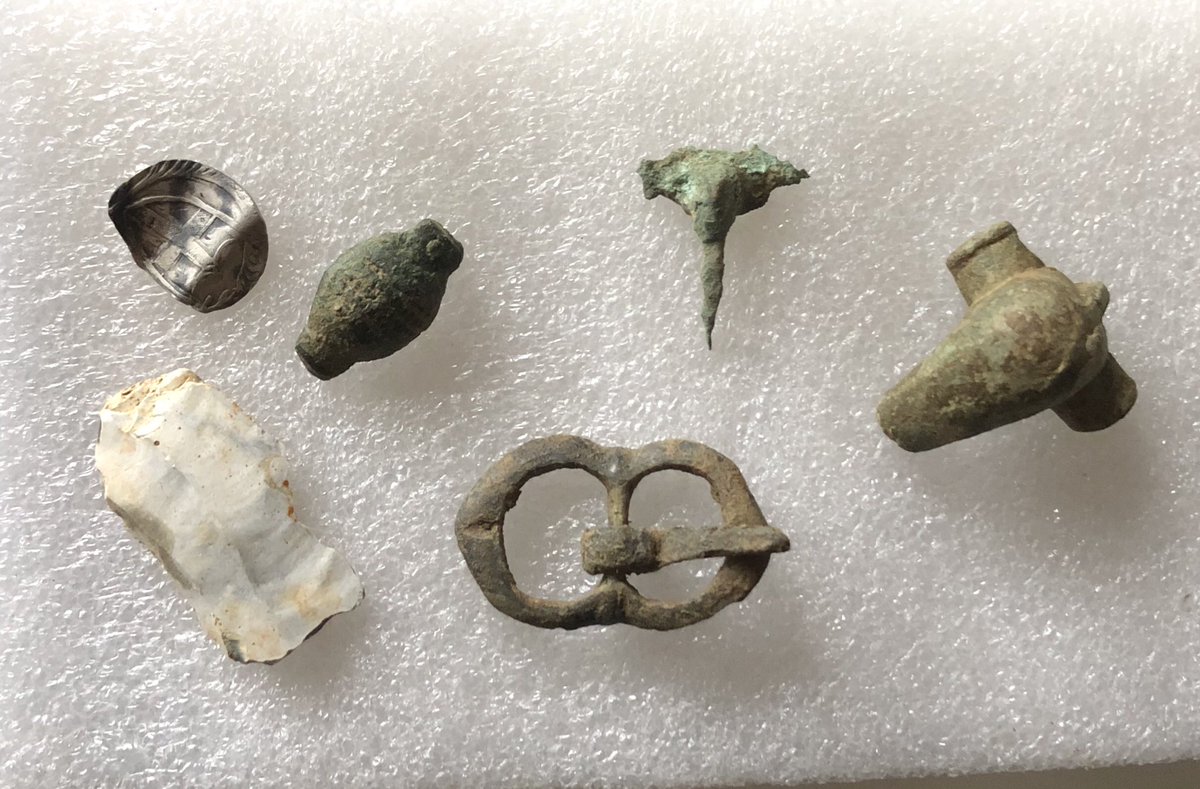 Couple of hours before rain stopped play this morning!! Nice Commonwealth half groat top of the bill!!! 🐶👍🏽