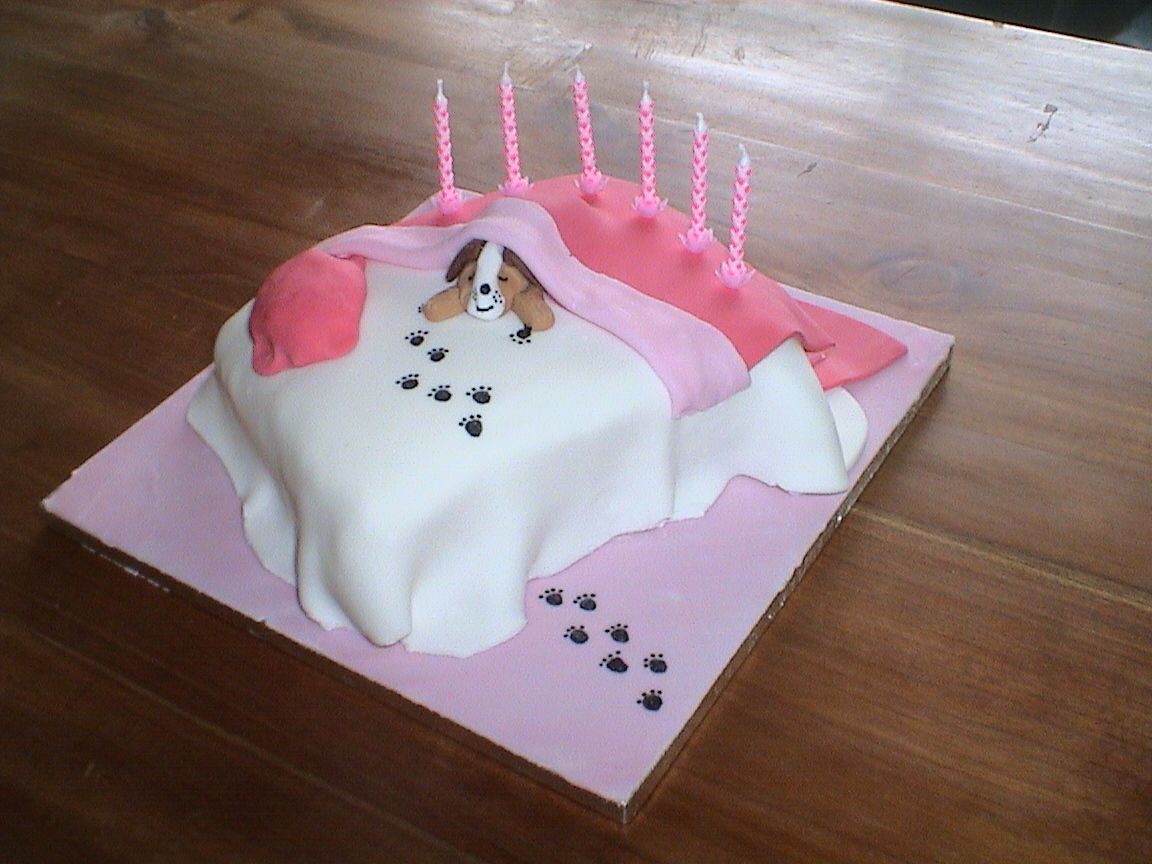 Harbour Hounds tweet media