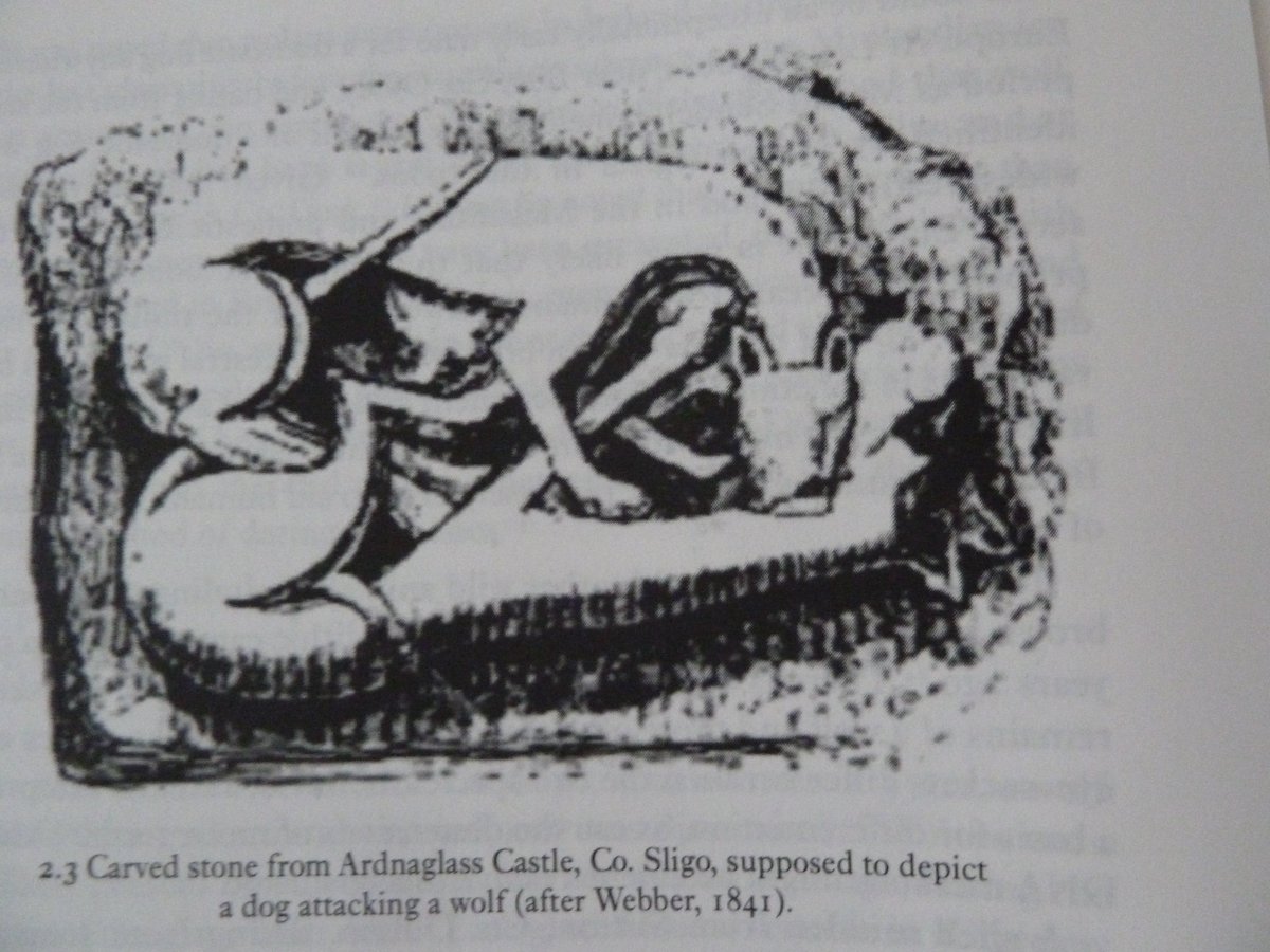 The Tireragh Stone depicts the slaying of a wolf in  #Ireland' by a wolfhound in Co Leitrim in 17th C. Wolfhound belonged to O'Dowd chieftain of Co Sligo. Area known as Carrownamadoo, "the dog's quarter" to commemorate the dog! [Irish translation from Dr M McGarry]. : K Hickey.