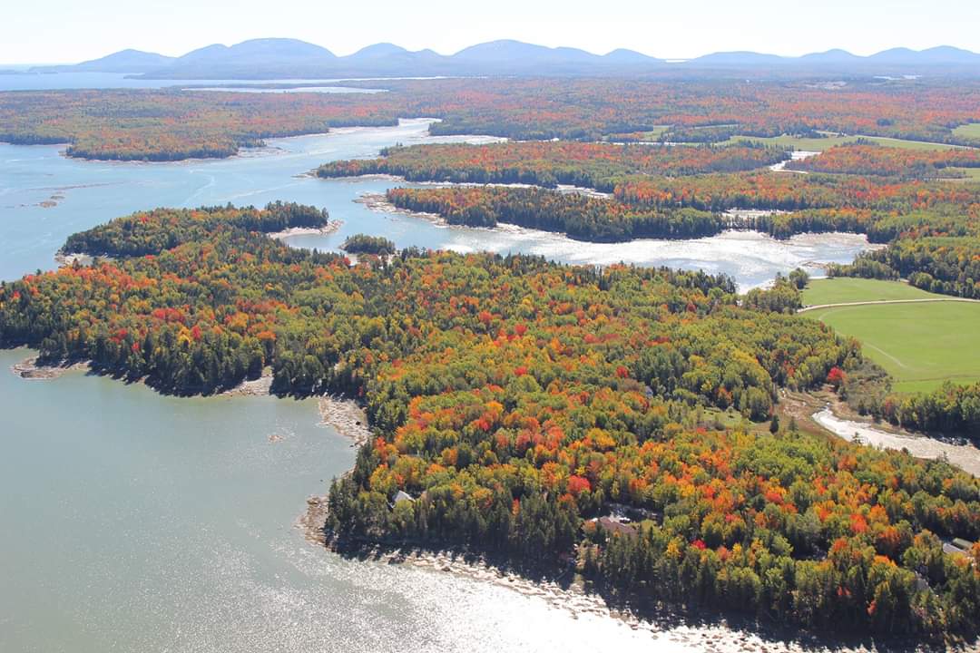 AcadiaScenic's tweet photo. We have EXTRA availability today, if you don't see the time you want to fly available online, just give us a call 🧡🍁 https://t.co/rXjYTmBPD5