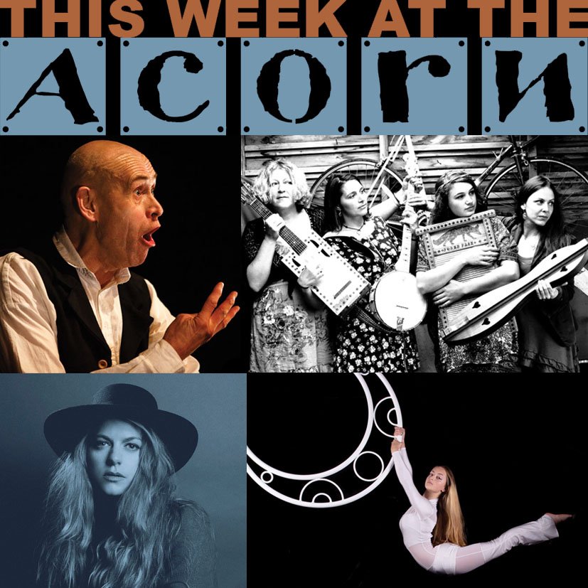 AcornPZ's tweet photo. THIS WEEK at The Acorn
THURSDAY - ACORN @ 50 - TONGUE PIE
FRIDAY - ACORN @ 50 - #BoundlessBrothers #DanAston #DavidOkangba #TrueFoxes & #FoxesFair ๐ต๐ต๐ต๐ต๐ต
SATURDAY - #AirfishCircusโ & #VagabondCircusโ Present MORDROS
SUNDAY - #JoHarman ๐ต https://t.co/62b9yyZgDB