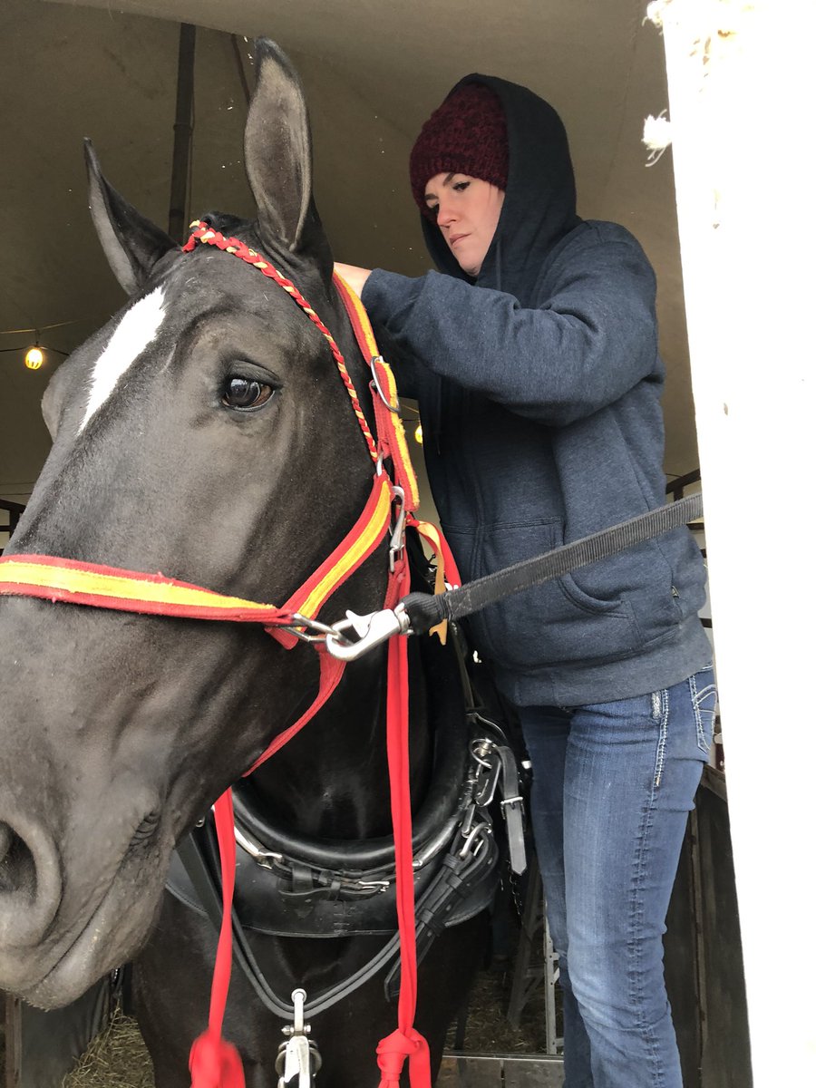 Milrtyym's tweet photo. Getting ready for the heavy horse hitches @Rockton World’s Fair https://t.co/KAOhm3aYC8