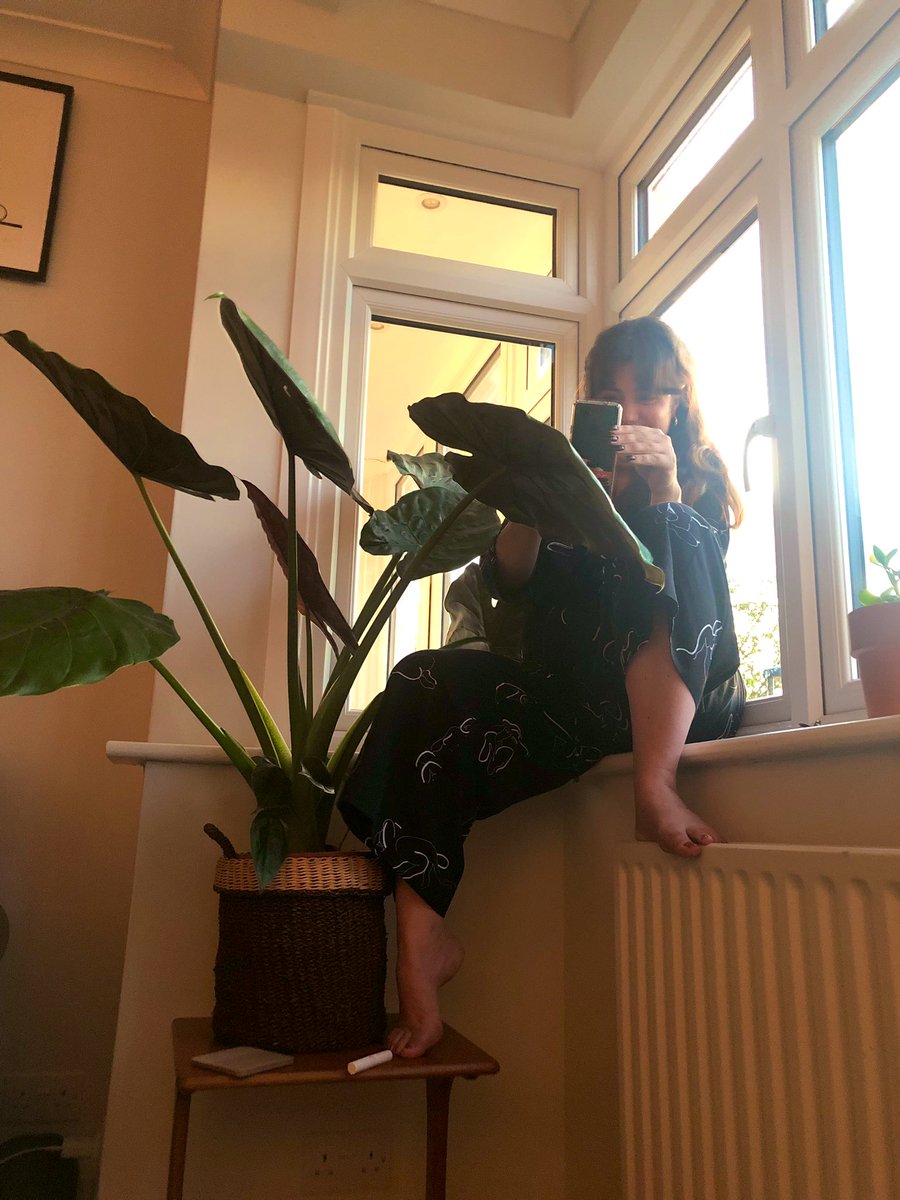 Loriley Sessions tweet media