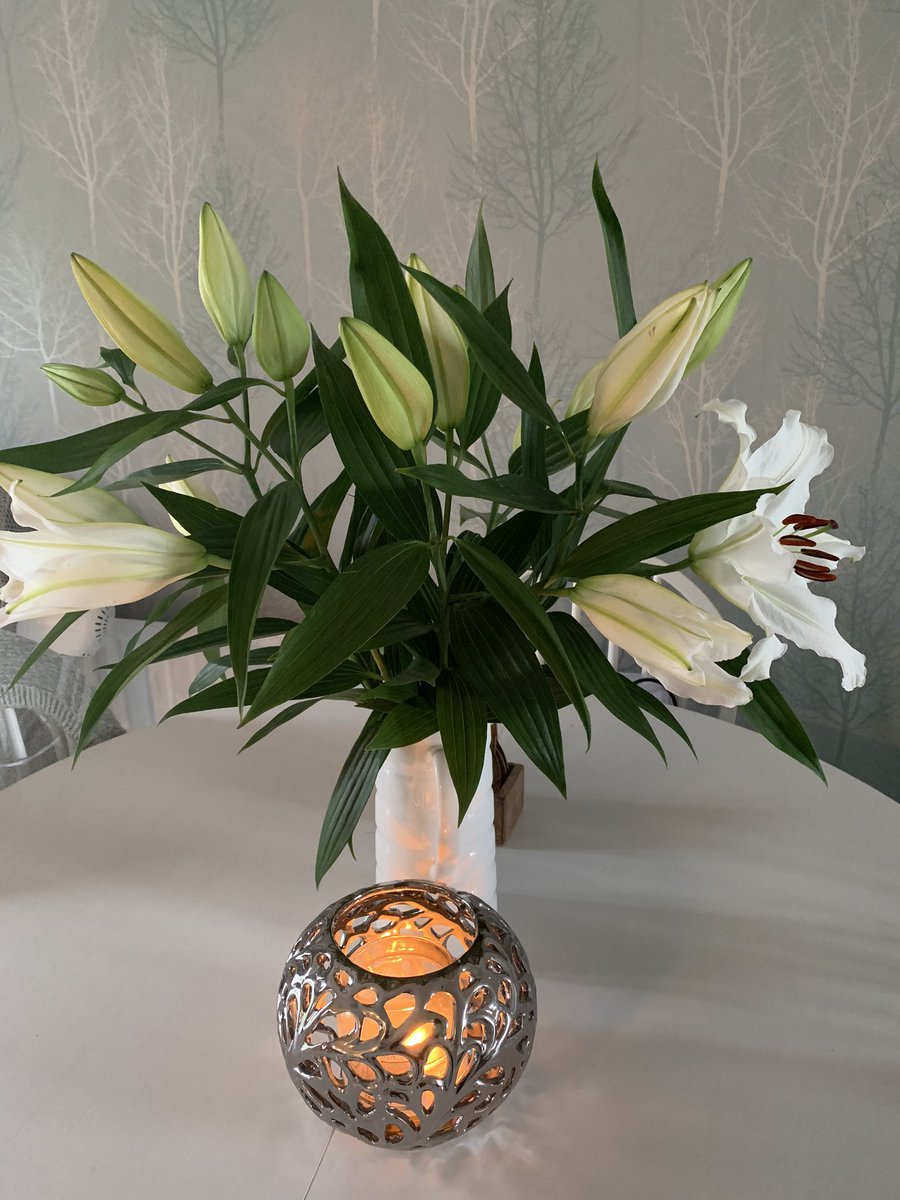 Nessy73's tweet photo. @AldiUK I’ve recently been in hospital &amp; came home to these beautiful lilies bought from your store in Andover. They are exquisite &amp; still going strong 5 days later. They make me smile every time I look at them &amp; they smell amazing. I just thought they deserved a shout out. https://t.co/evsjjYbWoQ