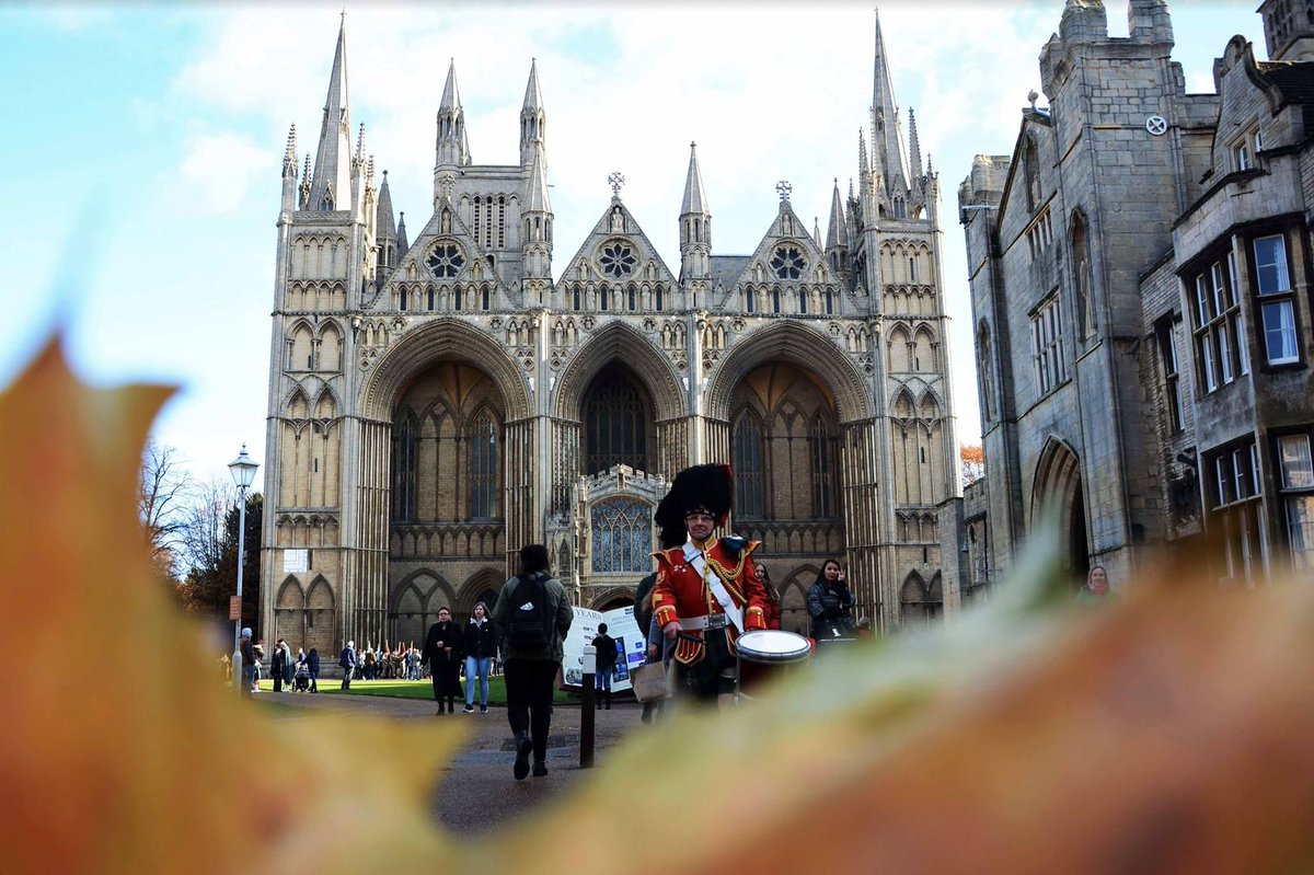 TwilightVisuals's tweet image. We're just here to serve you with all of those Autumnal photos! We still adore this shot from last years Armistice commemoration, and we can't believe we're nearly back to November again💂 🍁 #twilightvisuals #autumn #autumnleaves #remembrancesunday