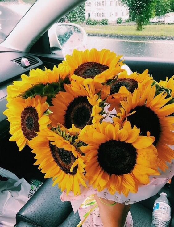 coffee_n_mtns's tweet photo. 3.99 to make someone's day 🌻 https://t.co/hPXF3B7j1I