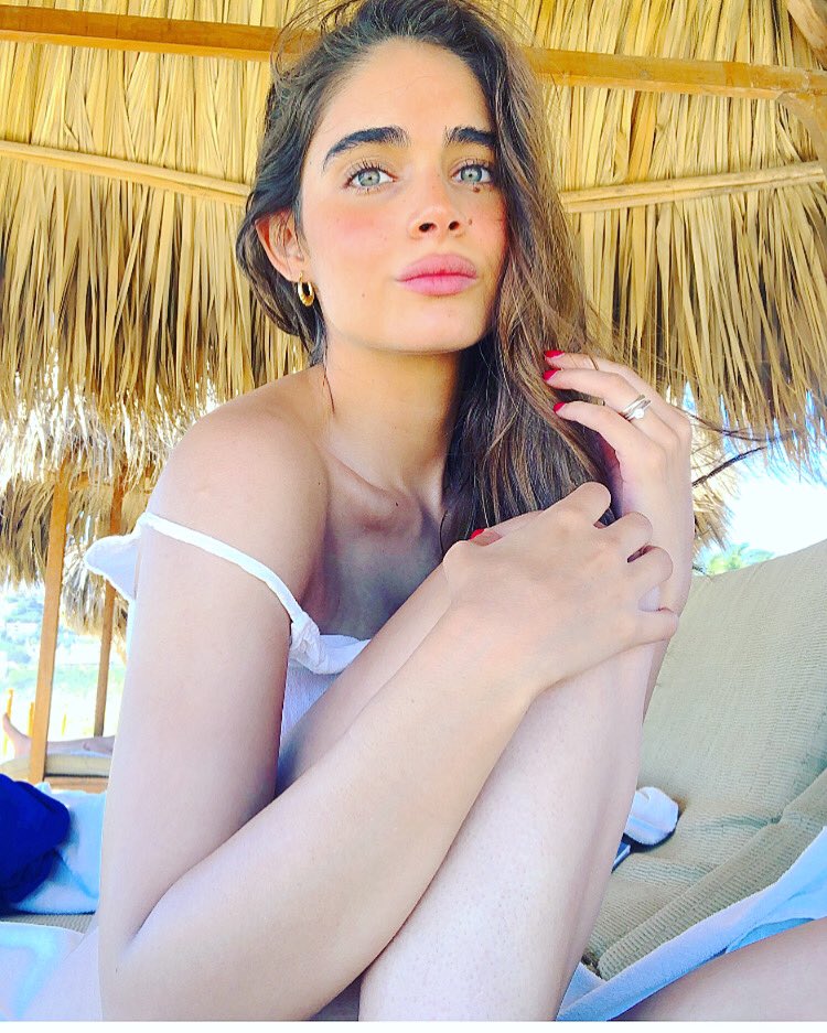 FERNANDA SANTOS tweet media
