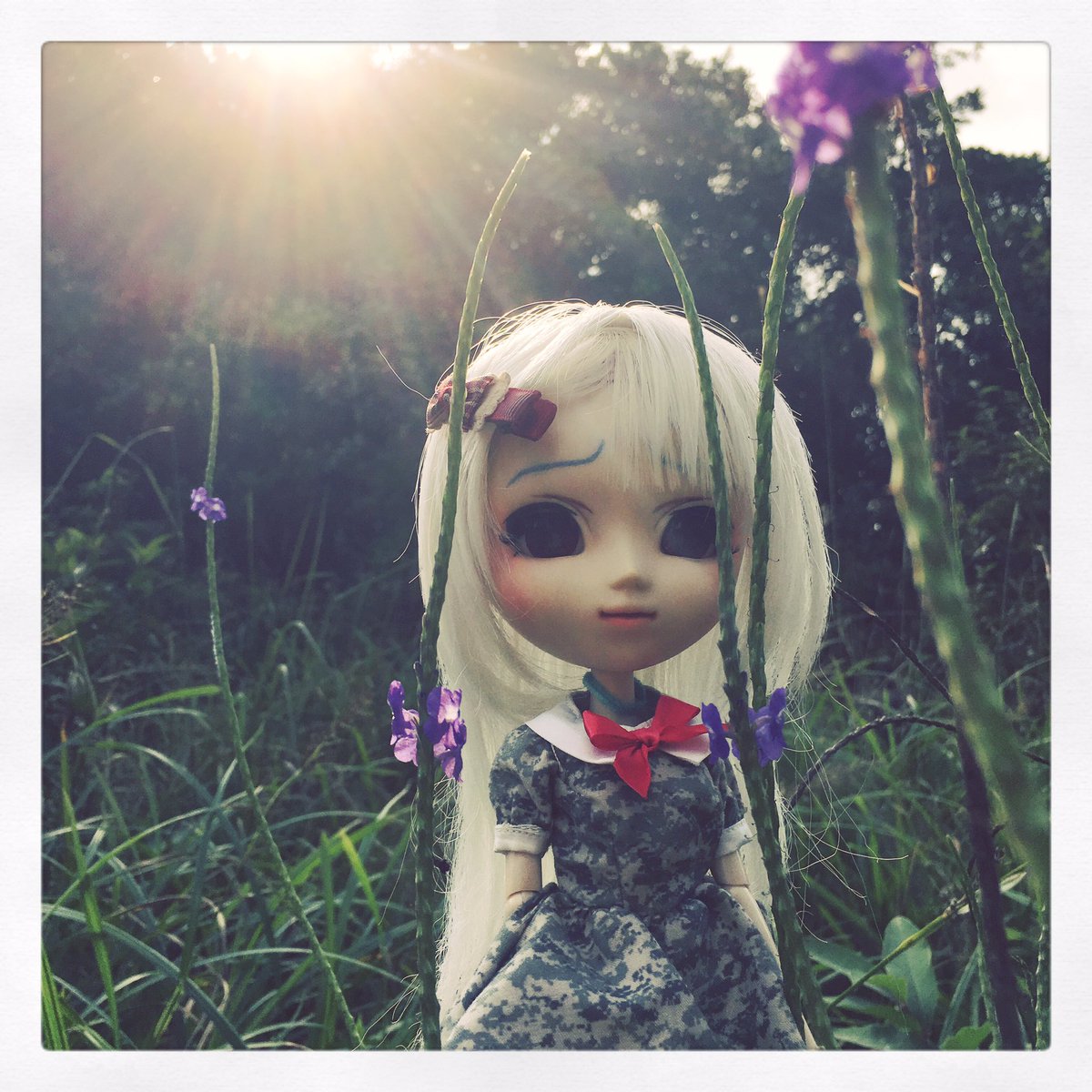 762fmj1's tweet photo. #pulliphk #pullip https://t.co/yIK4bW4KEr