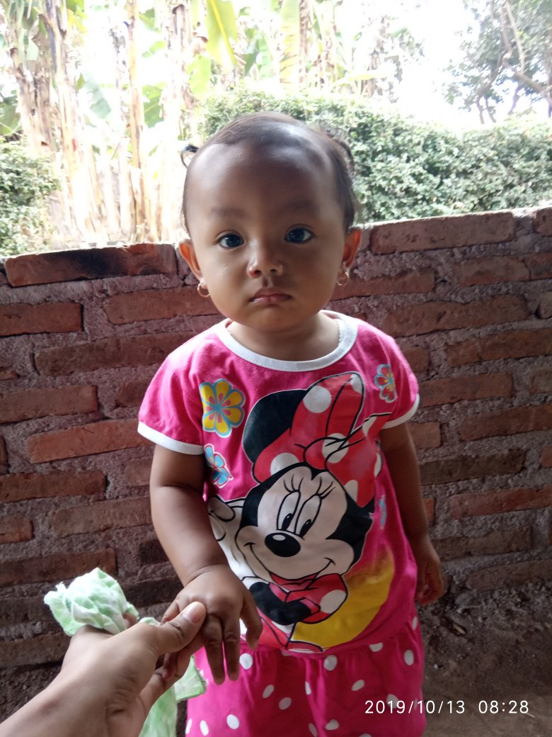 12 bulan