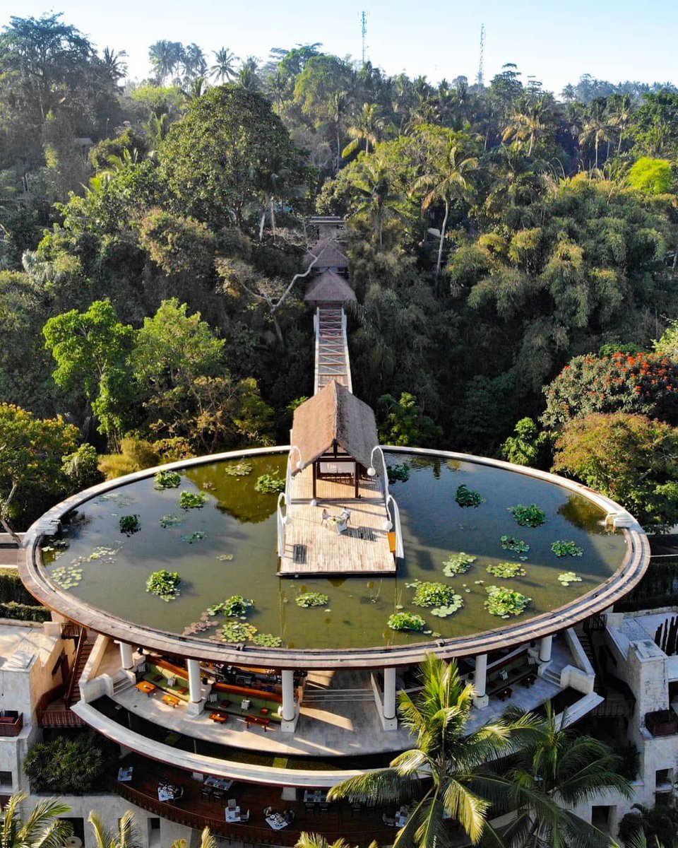 dmASIA_travel's tweet photo. Sunrise breakfast at @fsbali 🌴
Dream experience #fsbali #fourseasons #fstakeyourtime
Photo: @hotelsandresorts 
#everythingextraordinary #dmasiatravel #bali https://t.co/AB29yElGMx