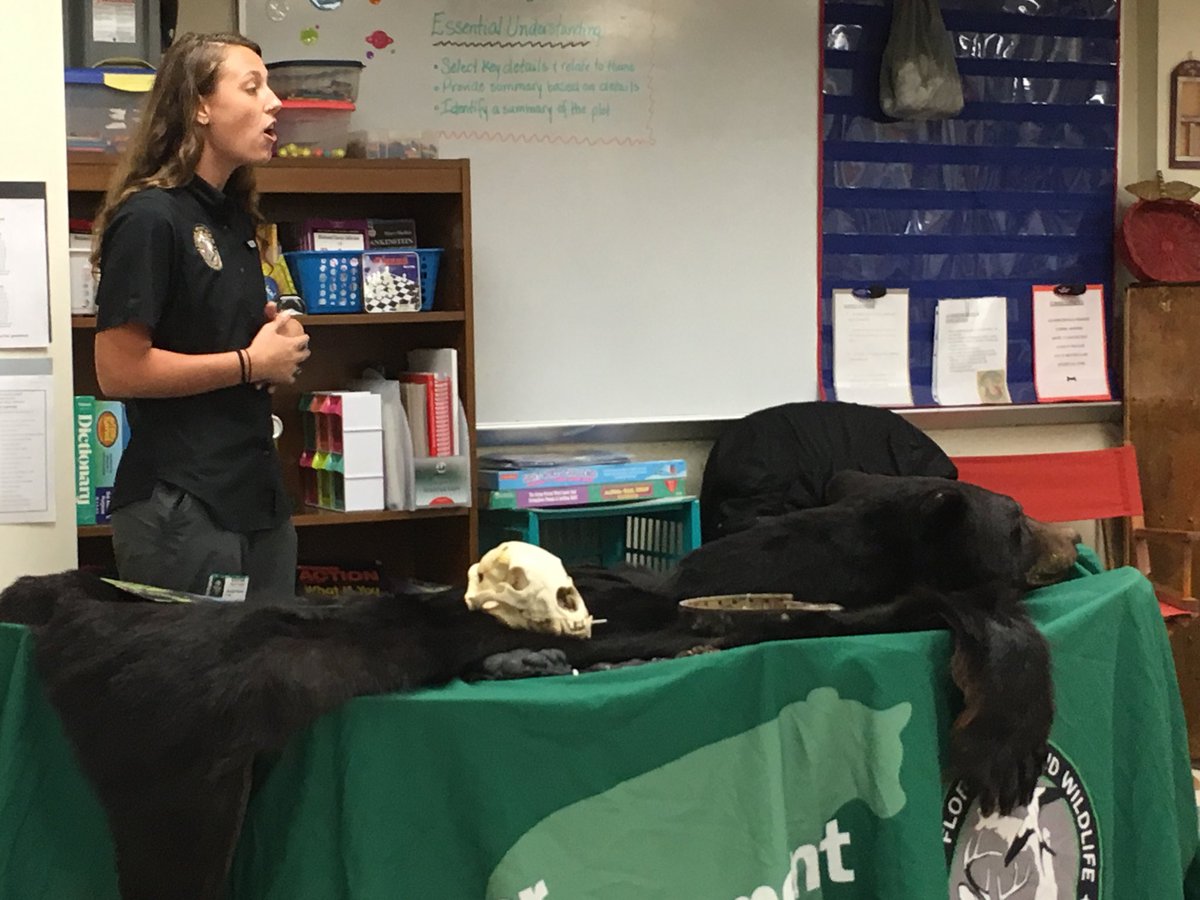 Sue Connell tweet media