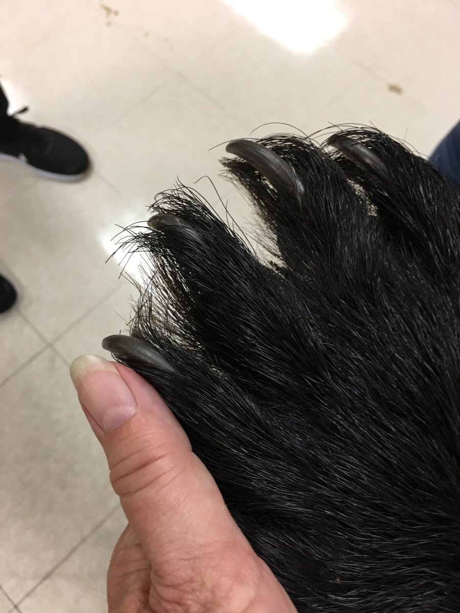 Sue Connell tweet media