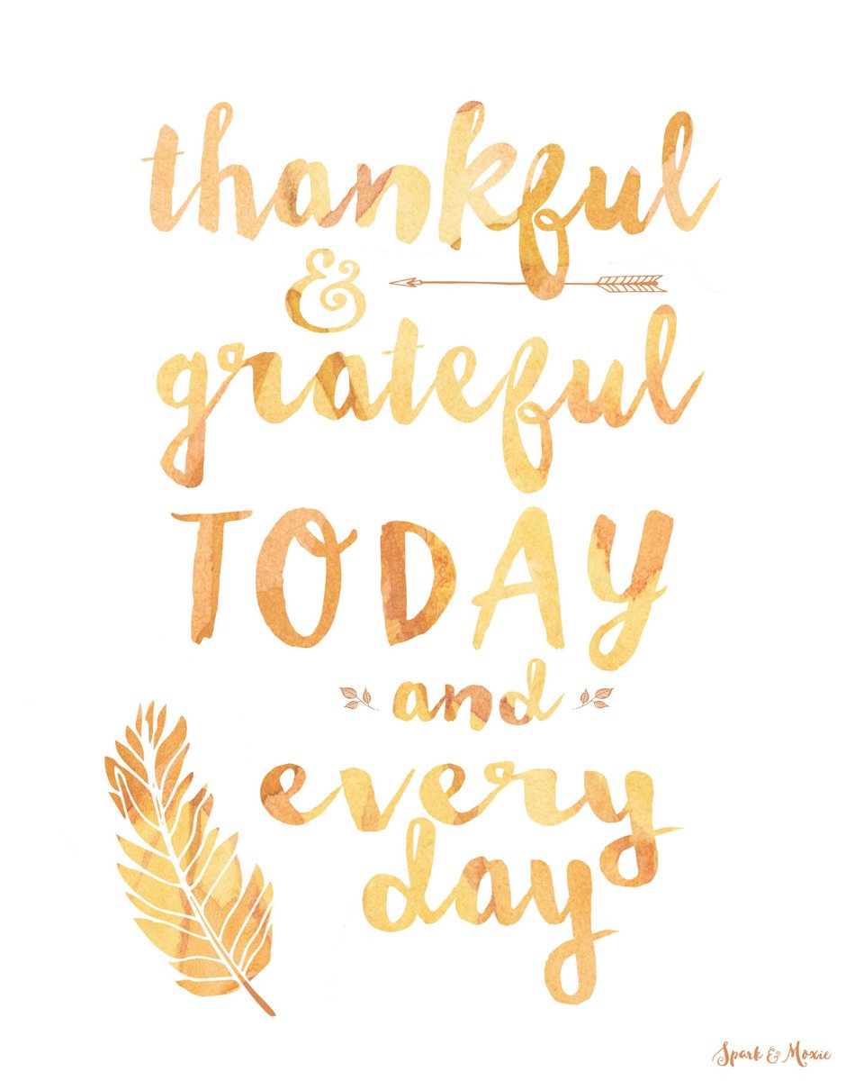 HopeStrathcona's tweet image. Happy Thanksgiving to you and yours