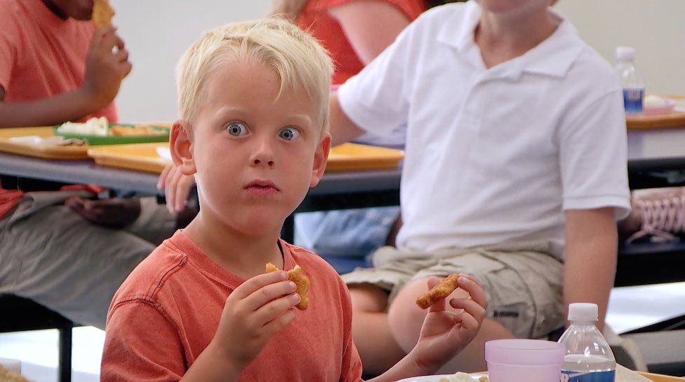 division7 tweet media