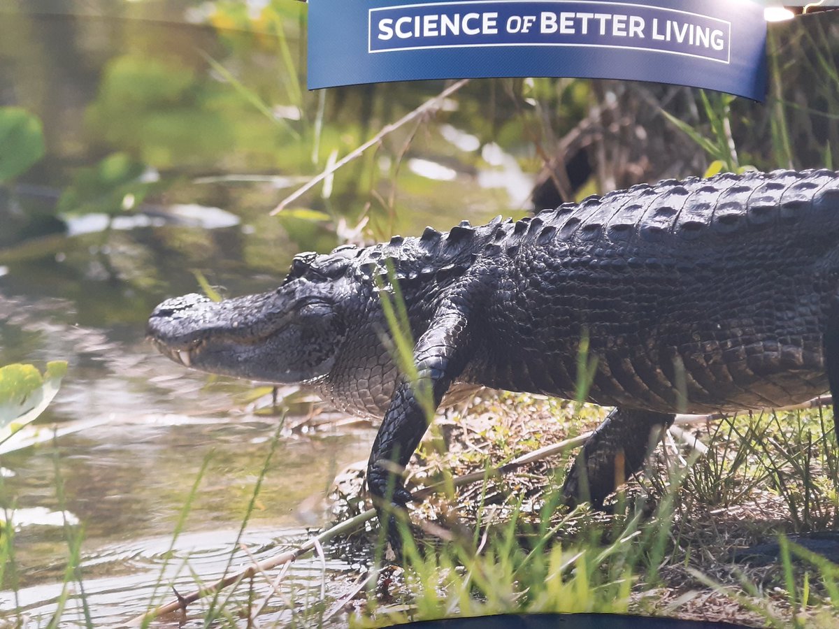 Sunbelt prep is coming along nicely!