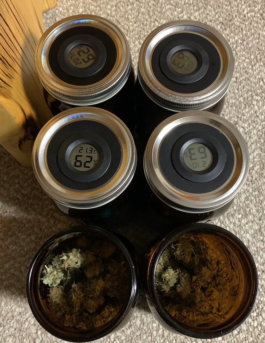 6.8oz all jarred up. Got a bit less than originally shooting for but these plants were very short. 2plants. Approx 95 grams dried off each though   #GrowYourOwn #Cannabis #YEG #SKWSHD #HygrometerJar #Solventless #Rosin