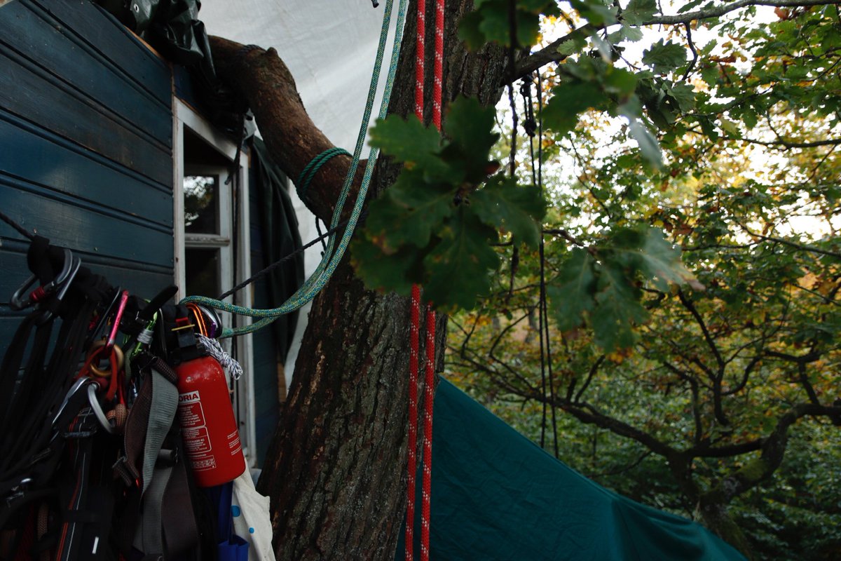 Während der Herbst seine letzten viel zu warmen Tage zeigt, bereiten wir uns auf den kalten Winter vor — damit der #DannenröderWaldBleibt. Warmes #Baumhaus mit #Brandschutz und Sonnenterasse. #KeineA49 #WaldStattAsphalt
#AckerBleibt
#AlteEicheBleibt
#GrüneLungeBleibt
#hambibleibt