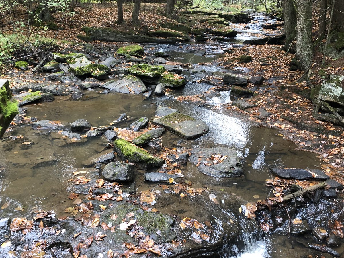 Fresh air, colourful leaves, family time - the absolute best time of year!! ❤️ 🌲 🍂 🍃 🍁 🦃