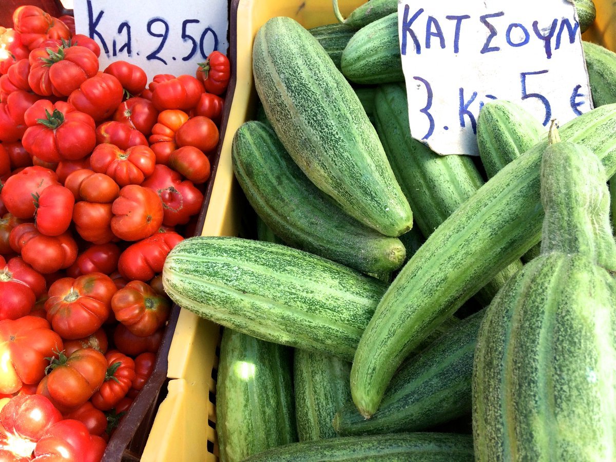 CaVassilios's tweet photo. GREECE-CYCLADES-SANTORINI ISLAND
"Katsouni"is the cucumber of Santorini. It’s bigger than the common cucumber and has a thicker skin and more seeds. If not harvested on time, it becomes sweet and has a melon taste.
#Greek #Cucumber 
https://t.co/uhu53BtyKn
https://t.co/qx5Q1ElILM https://t.co/vls9XbGXcT