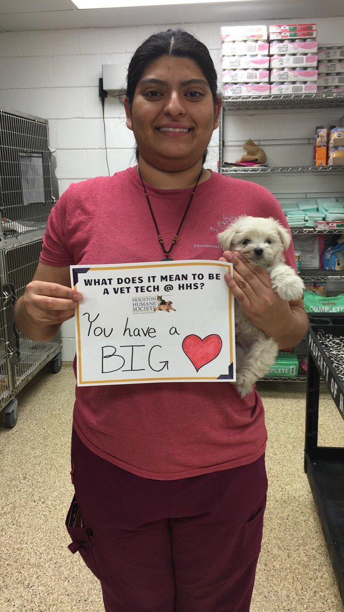 HoustonHumane's tweet photo. Happy #NationalVetTechWeek We celebrate all dedicated, passionate Vet Techs. It takes a strong individual, it's not all warm &amp; fuzzy. They deal w/ death and illness on the daily with high suicide rates in this field. Let’s create awareness, thank them today #VetTechTakeover https://t.co/GAWzM7tHGZ