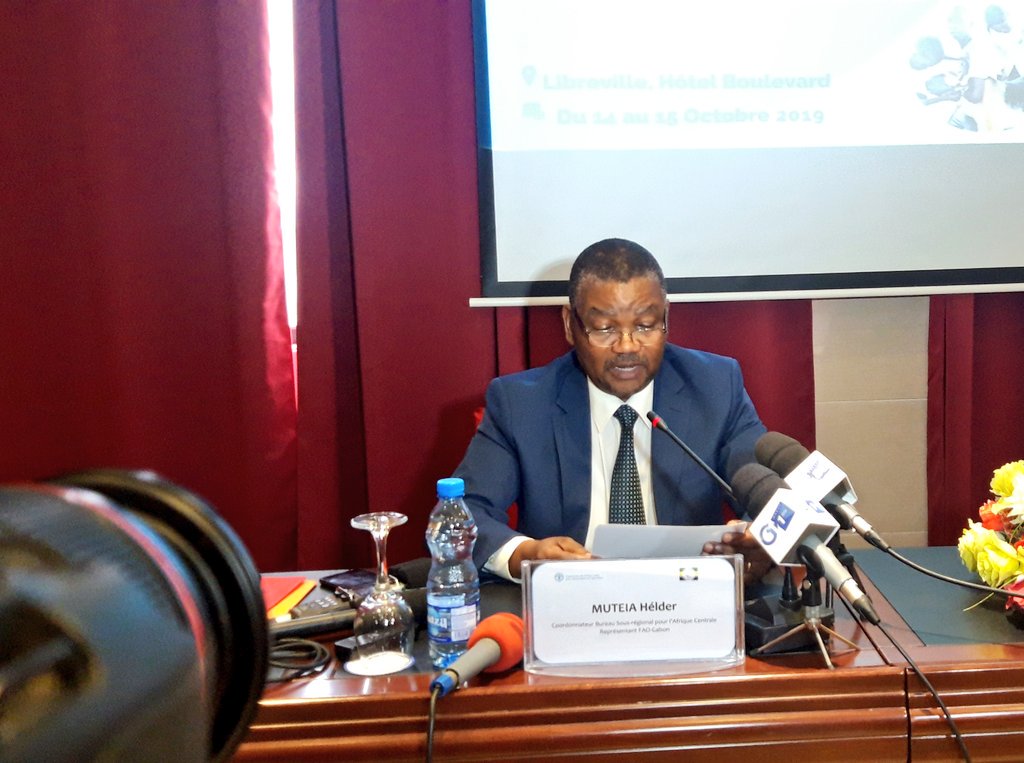 FAO Afrique centrale tweet media