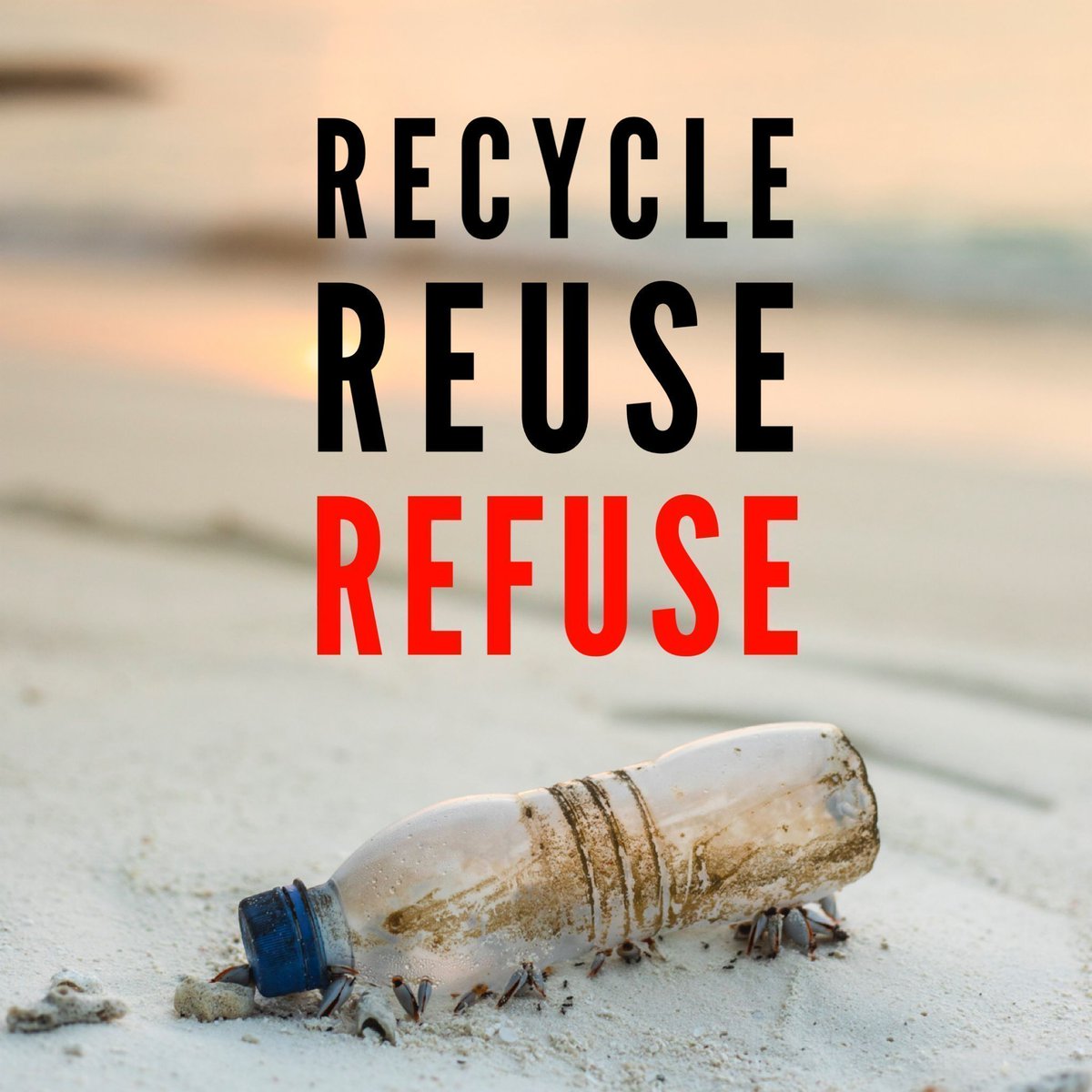 BeautyShortlist's tweet image. Recycle - ✔️
Repurpose ✔️
Reuse - ✔️
Reduce ✔️
REFUSE - 💯

Why *refusing* single-use plastic is probably the single most powerful anti-plastic action you can take 

bit.ly/2KUf3Ja @BeautyShortlist

#PlasticBan #VoteWithYourWallet #RefuseReuse #plasticfreeworld