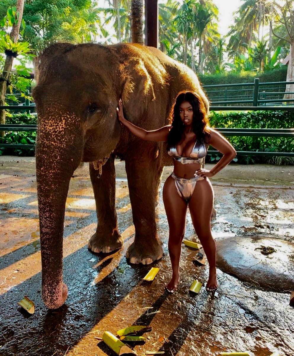 PRGirlMedia's tweet photo. We are looking for models for the highly anticipated Penthouse Party promo videos, tag a model you know will burn up our screens! 🔥🔥🔥

🌿🐾🐆🐅🐍🦁🐯 

#PHParty2019 #PenthouseParty2019 #TheJungle #Lifestyle #Fashion #ItsAPRThang #PRGirlMedia #Events #Lusaka #Kitwe #Zambia https://t.co/LUCLCwUGzd