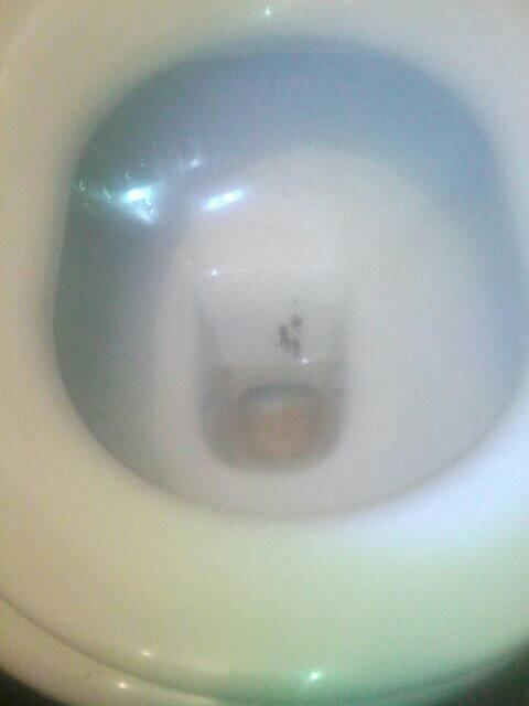 LargeyNicola's tweet photo. Toilet clean using eco friendly products 👌
#clean #toiletclean #cleaner #before #after #ecofriendly #work #selfemployed #lovemyjob #cleaning https://t.co/O4ZGhTv0yc