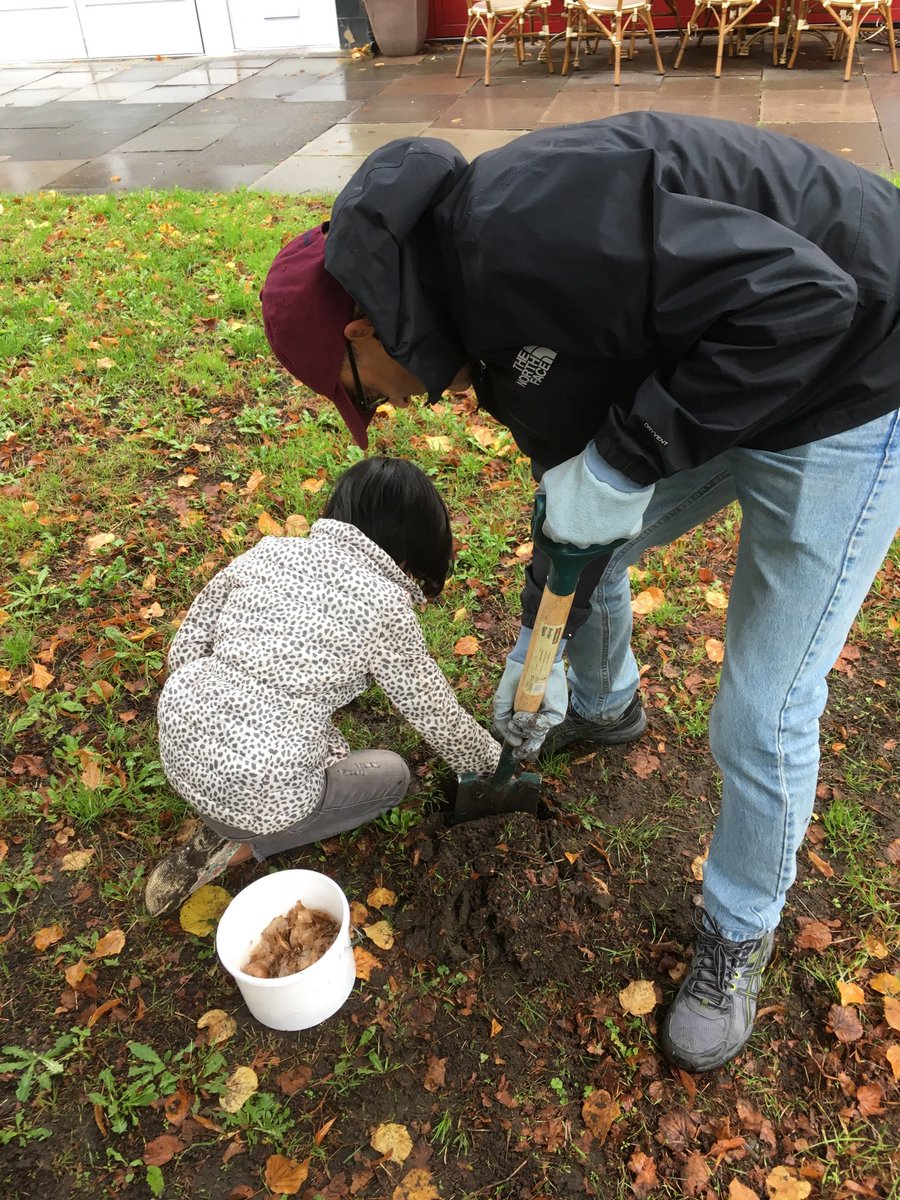 WeybridgeBloom's tweet photo. Thank you all for coming down to help with Bulb planting despite the rains. 

I’m sure Weybridge is going to have a beautiful floral display next Spring .

Looking forward to see you all again on Saturday, 19th October @2pm at Oatlands recreation ground for Bulb planting. https://t.co/raWxQX6U2D