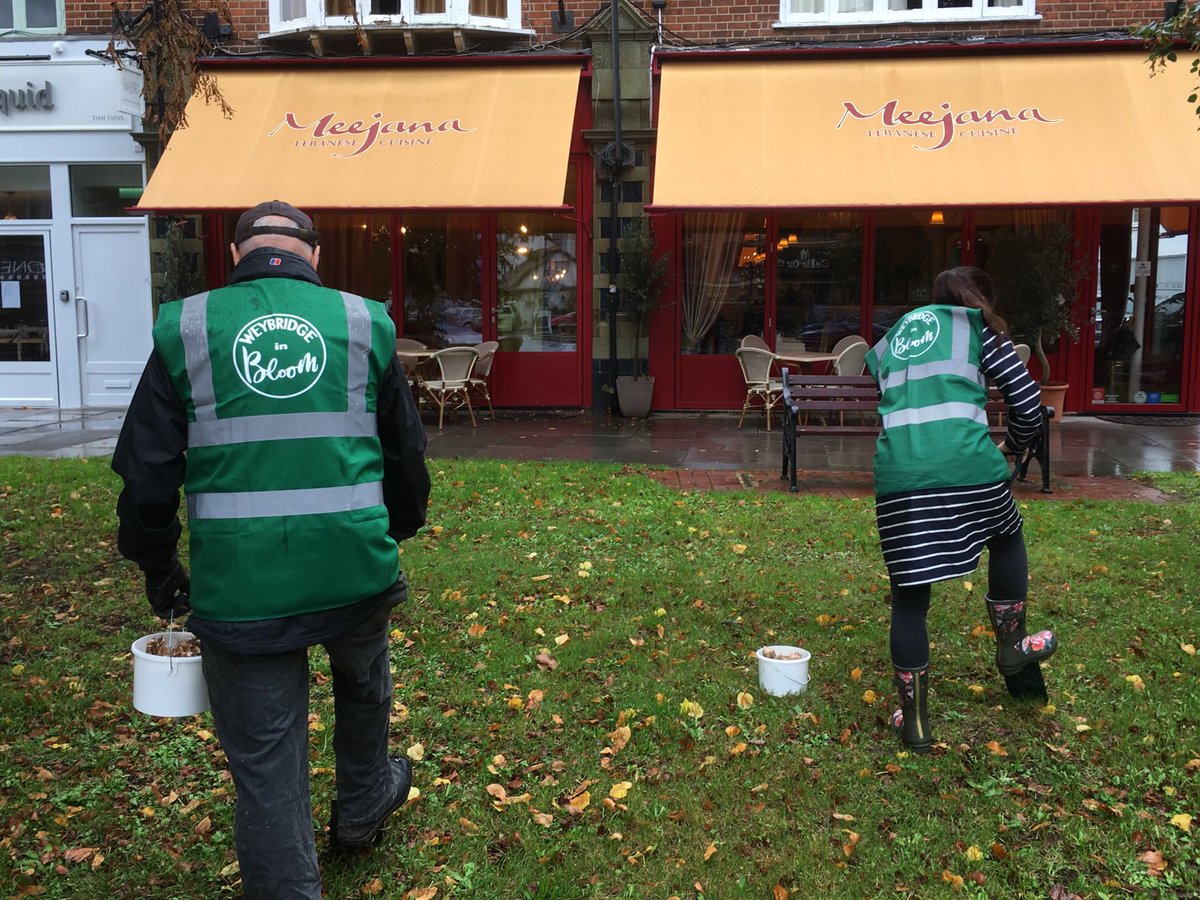 WeybridgeBloom's tweet photo. Thank you all for coming down to help with Bulb planting despite the rains. 

I’m sure Weybridge is going to have a beautiful floral display next Spring .

Looking forward to see you all again on Saturday, 19th October @2pm at Oatlands recreation ground for Bulb planting. https://t.co/raWxQX6U2D