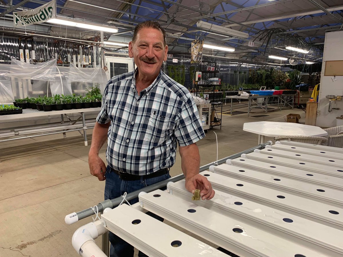 Genesis_Agri's tweet photo. Genesis Agriculture, began with our founder Leo Frontera who has a true passion for #organic local produce and microgreens! We look forward to bringing our local produce and microgreens to your family!⁣
⁣Message us for healthy tips and recipes with #microgreens!⁣
 ⁣#GoGreen https://t.co/vi2AvHfsJ6