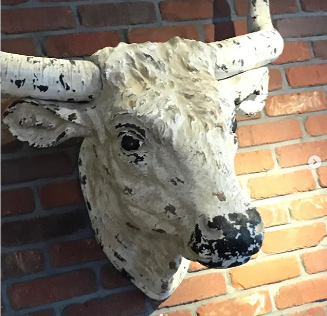 NoshAndGrog's tweet photo. Bull needs a name - share your name ideas. Chef thinks it should be Durham, or Peta, see next pic for more staff name ideas. What are your? #bestnames #bull #bullnames #boston #restaurant #restaurantdesign https://t.co/OqlpfkMRjD