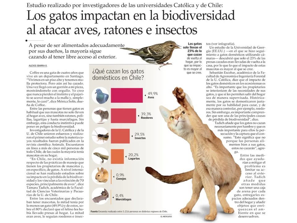 #EcologistaNoAnimalista tweet media