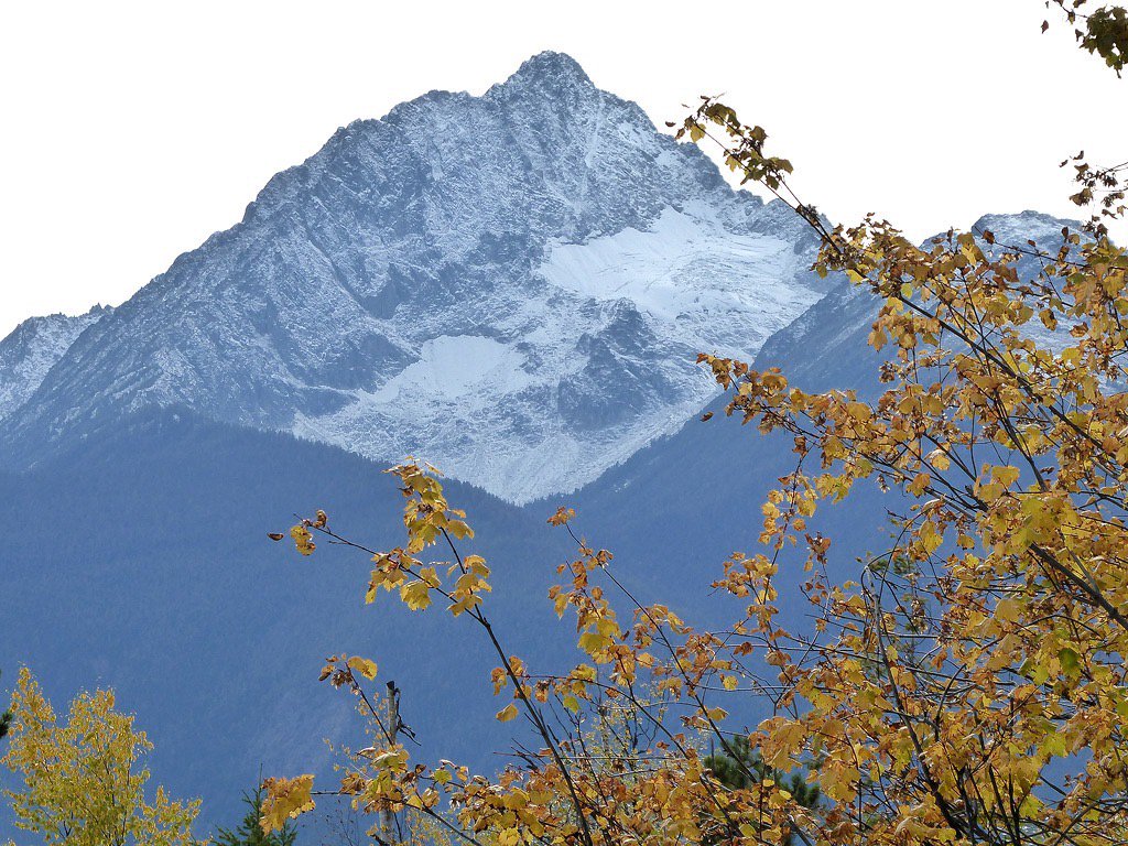 Fall colours and snowy peaks. It’s a beautiful time of the year in the South Chilcotin 😍. Ph Southchilcotin.ca FB   See more bridgerivervalley.ca #gatewayrothesouthchilcotin #bridgerivervalley
