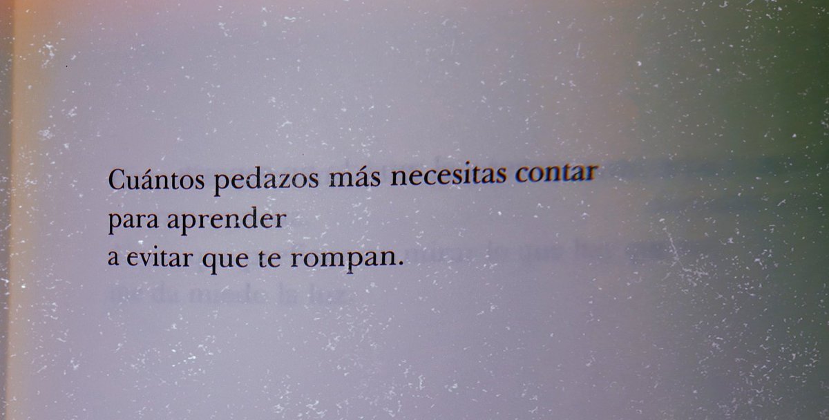 ellaesbreve's tweet photo. siempre @algunandrea, feliz día a mi favorita 💛 https://t.co/olyAMHQTYg