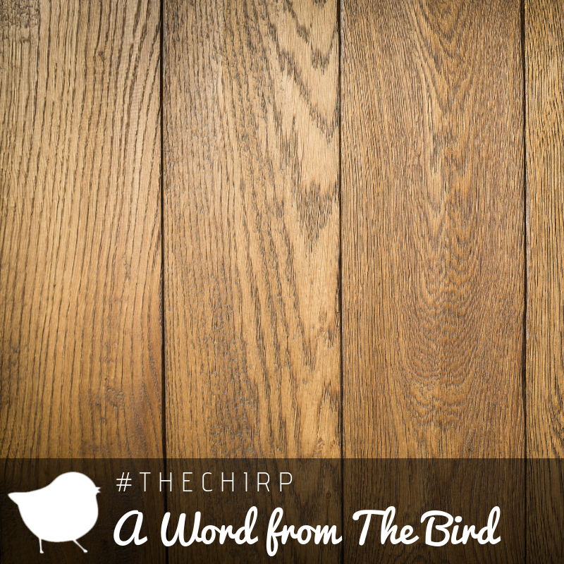 RedBranchRealty's tweet photo. Vintage is *always* in! 😍 Bring your 1930’s hardwood floors back to life✨ with these tips: https://t.co/dzIpJfzmMh 
.
.
.
.
.
.
#RedBranchRealty
#TheNest
#TheChirp
#AWordFromTheBird
#BirdsOfAFeather
#Vintage
#HardwoodFloors https://t.co/rPGkohZQz9