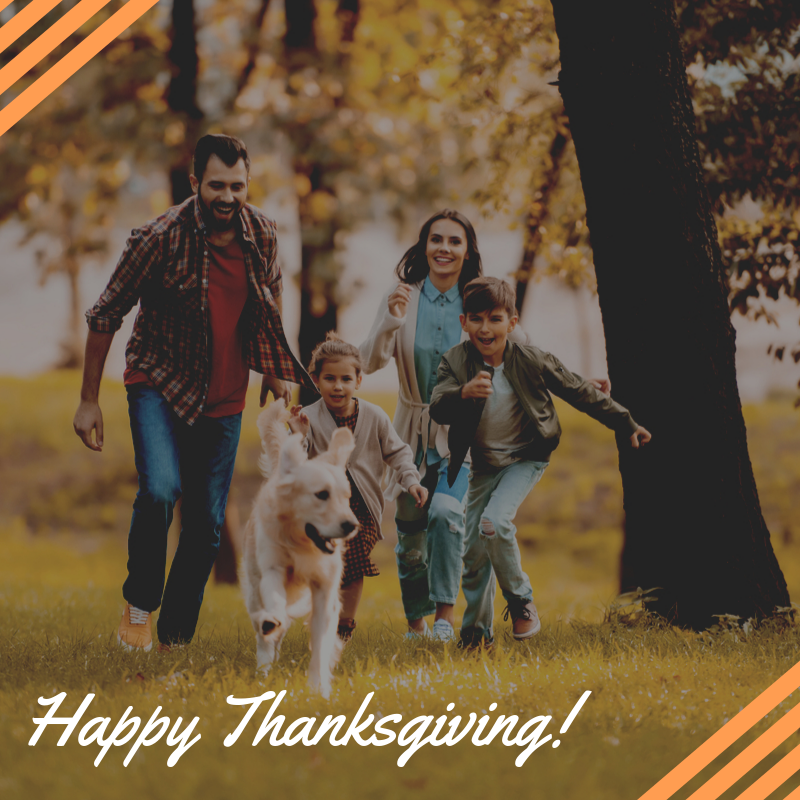 all animal eye clinic