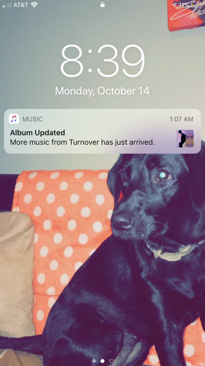 smokin_mochen's tweet photo. Turnover keeps teasing me with these bangin singles when I’m horny for the whole album 😩😩😩 https://t.co/5lILjak8ZM