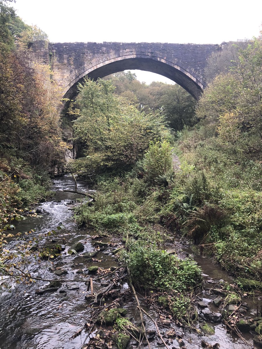 Ravens_Claws's tweet photo. Tonight’s walk. https://t.co/iqGOwqksfK