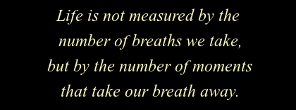 nikolv's tweet image. 