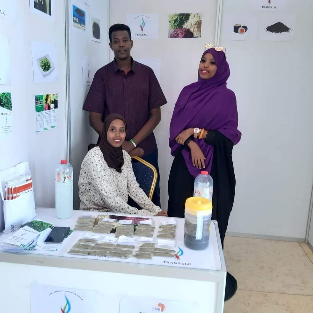 trans_alg's tweet photo. Il faut que tout ait une fin, c'est l'ordre de la nature et évidemment demain est le dernier jour d'exposition pour Trans-Alg à l'occasion de la #SAS. Nous vous invitons à venir voir nos prototypes à partir de 8h à 17h.
PS : c'est au palais du peuple et c'est #GRATUIT https://t.co/cwWq4Dk91A