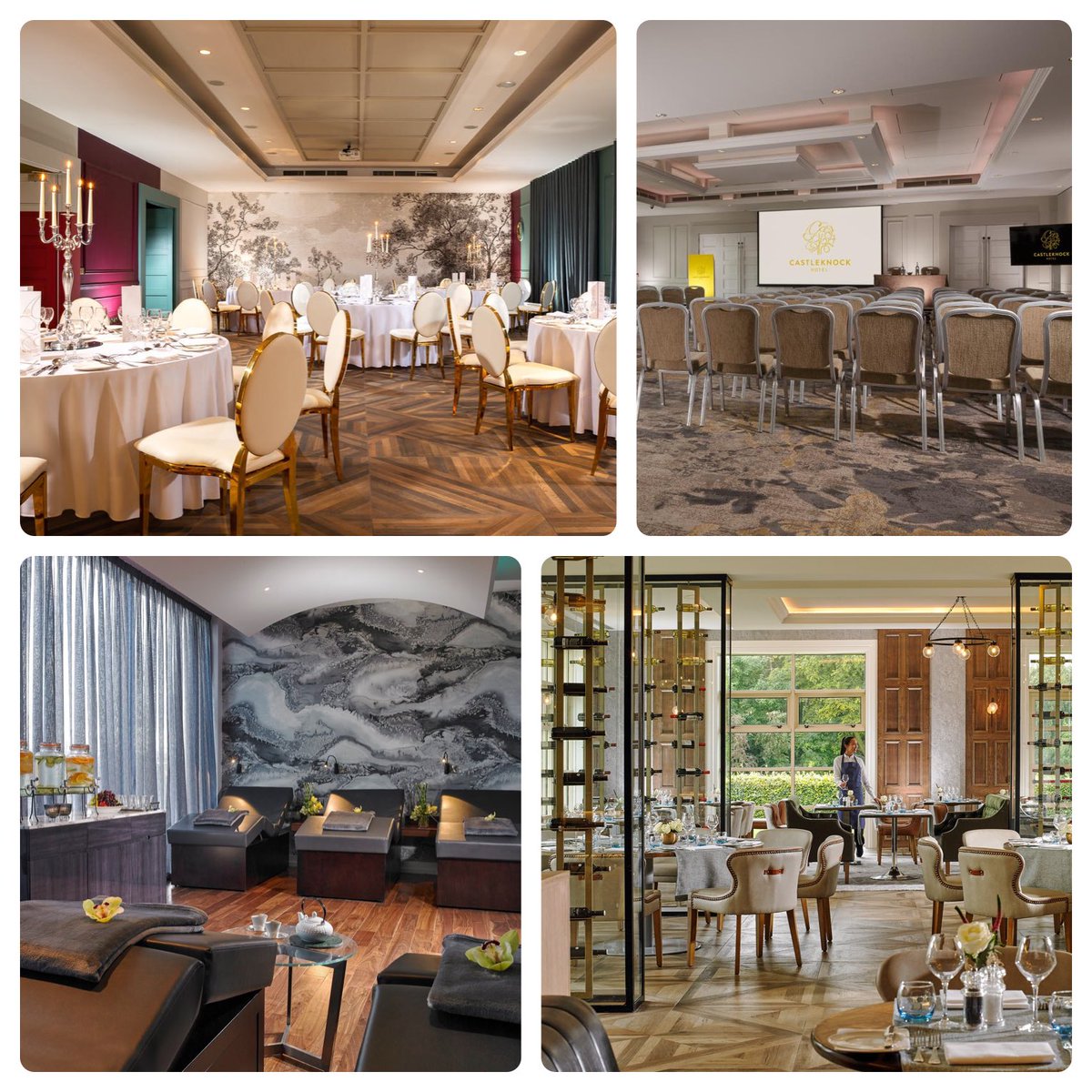 VineTree Connections tweet media