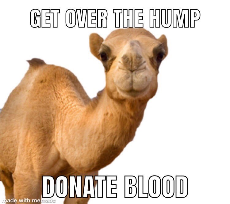TempleMemorial's tweet photo. Dont' forget we are having a Blood Drive Thursday October 17th 1230-230pm! 
Temple Memorial 
1315 Walnut St. https://t.co/FYk5saS4ik